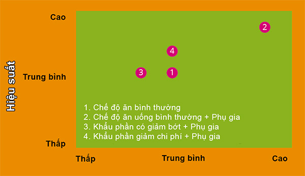 

Biểu đồ 2: cách để tối ưu hóa chi phí và tăng khả năng chuyển hóa thức ăn