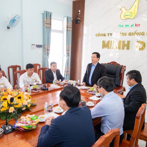 PHÓ CHỦ TỊCH THƯỜNG TRỰC UBND TỈNH NGUYỄN TUẤN THANH KIỂM TRA SẢN XUẤT ĐẦU NĂM CÔNG TY TNHH GIỐNG GIA CẦM MINH DƯ